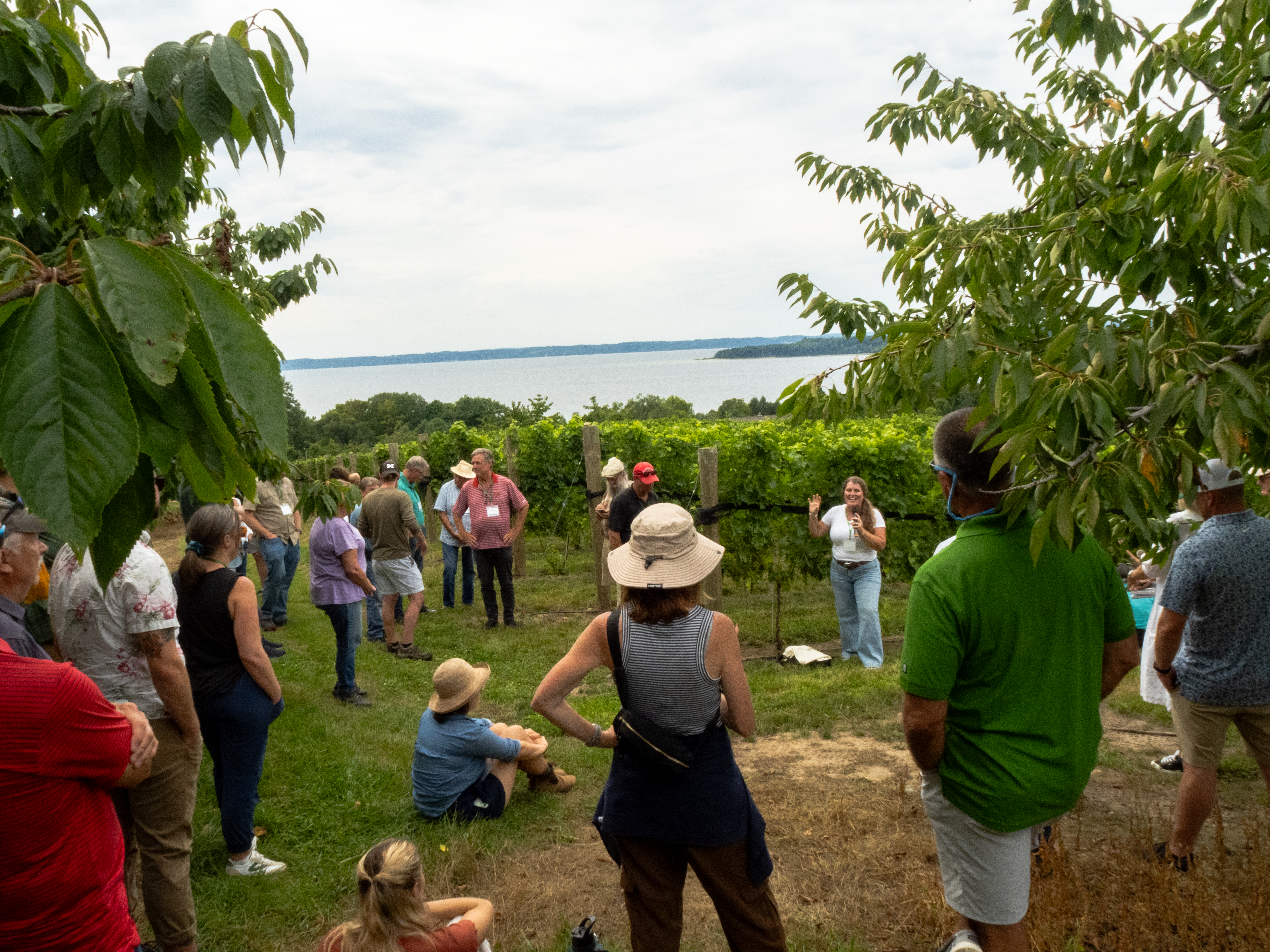 Participants of the Dirt to Glass conference gather in a vineyard to listen to a woman give a talk. A lake is in the background.